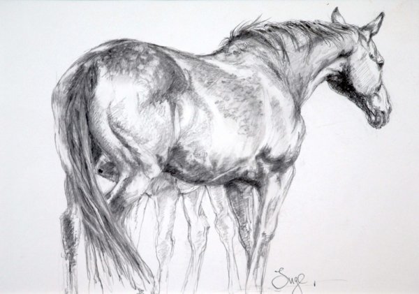 Mare and Foal Study 2