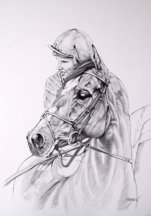 Racehorse - they are patiently waiting to get into the stalls