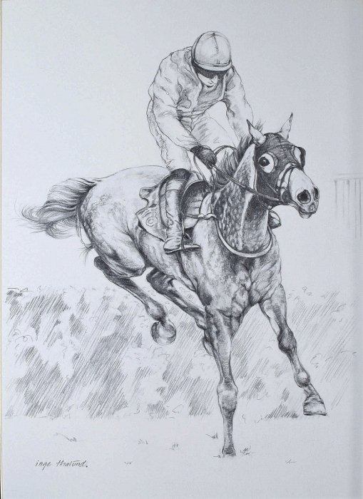 Racehorse