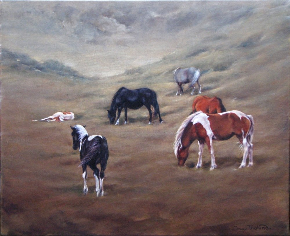 ID 446  Wild ponies at Dartmoor