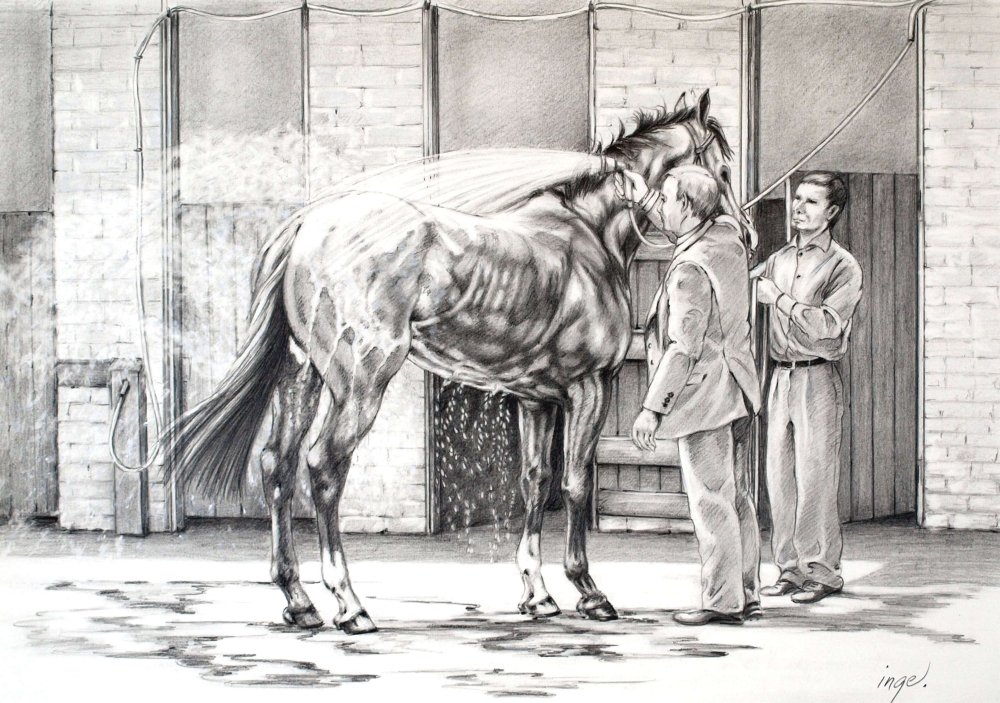 Racehorse