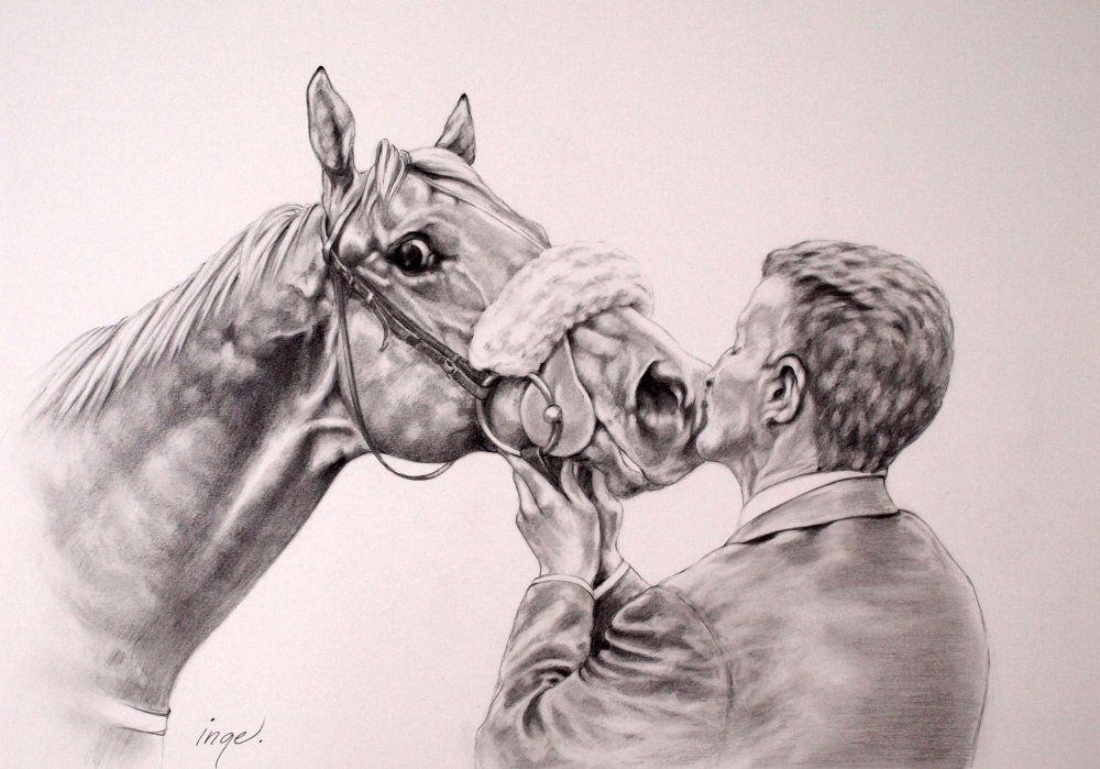 Racehorse