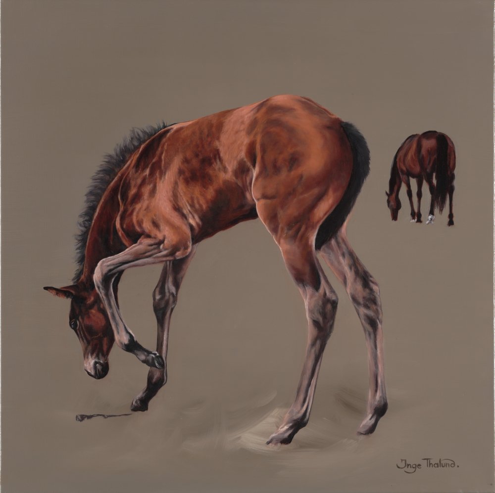 Foal is entertaining itself, with the mare in the distance