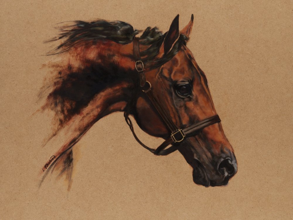 Racehorse. Oil on unvarnished board. Has to be framed as the paper works, just as safety precaution