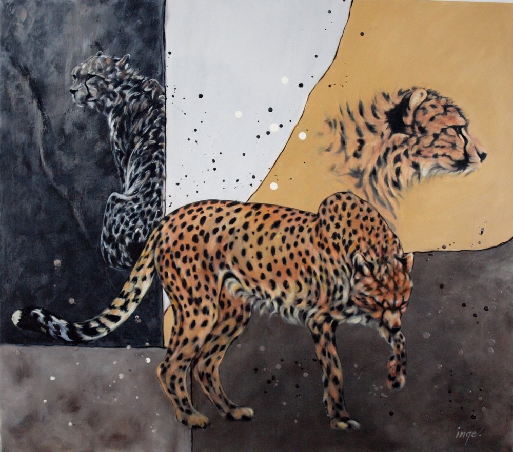 Cheetah Collage