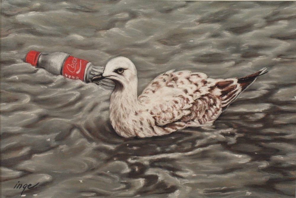 The Seagull and The Coke Bottle in River Thames